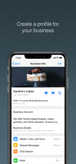 WhatsApp Business For iPhone